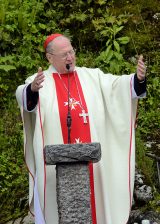 2013 Lourdes Pilgrimage - SATURDAY TRI MASS GROTTO (83/140)